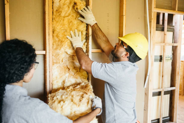 Best Insulation Removal  in Hilbert, WI