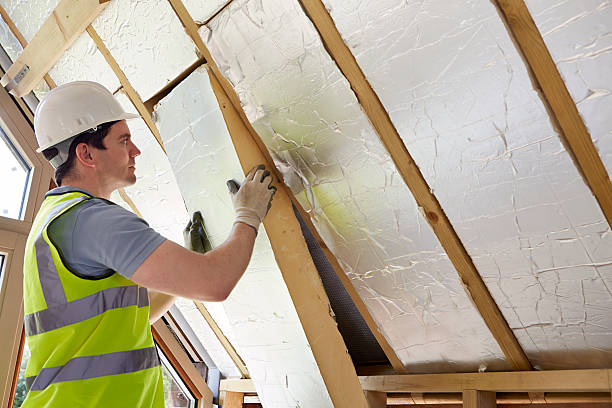 Best Blown-in Insulation  in Hilbert, WI